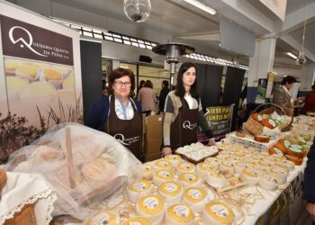 Seia celebra 46 anos de Feira do Queijo Serra da Estrela