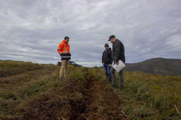 Serra do Açor reflorestada com 1,1 milhão de árvores até final de 2024