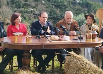 Tábua de Queijos e Sabores da Beira espera 30 mil visitantes nos dias 2 e 3 de março