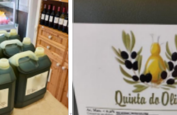 ASAE apreendeu 50 mil litros de óleo em Oliveira do Hospital e mais cinco concelhos da região