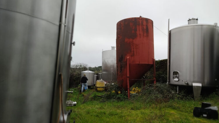 GNR apreendeu mais de 70 mil litros de vinho em Viseu. Entrou no mercado de forma ilegal