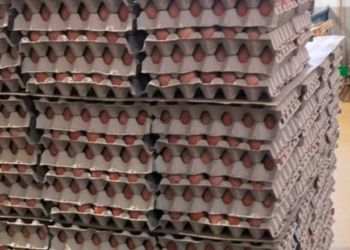 ASAE apreende 112.590 ovos na zona centro