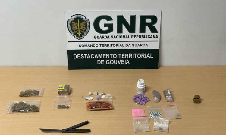Seia: GNR deteve oito pessoas durante o fim de semana