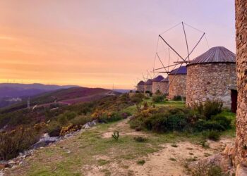 Penacova assinala Dia Nacional dos Moinhos com feira e oficinas para aprender a cozer o pão