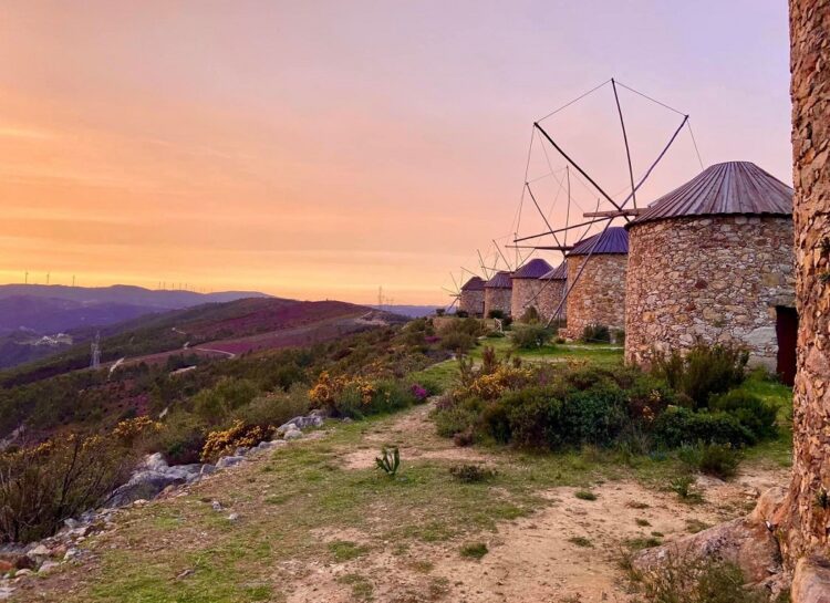 Penacova assinala Dia Nacional dos Moinhos com feira e oficinas para aprender a cozer o pão