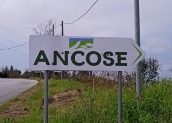 ANCOSE defende pastores “até às ultimas consequências” (vídeo)