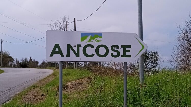 ANCOSE defende pastores “até às ultimas consequências” (vídeo)