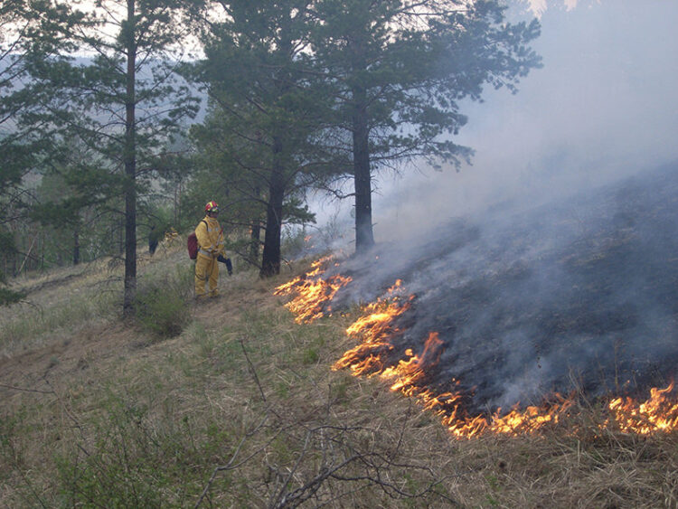 Exemplo de Viseu Dão Lafões no combate aos fogos florestais chega a Madrid e Bruxelas
