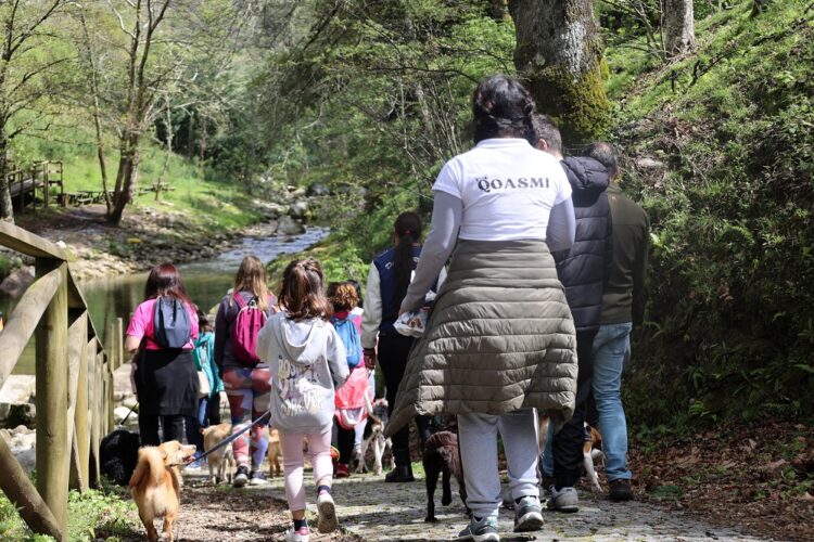 Seia está a organizar o Caniltrail na Senhora do Desterro