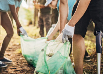 Seia vai receber voluntários jovens para a preservação da natureza e florestas