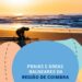 CIM Coimbra apresenta guia das 107 praias e áreas balneares em Góis