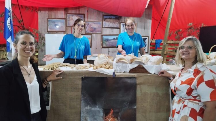 Festa do Pão, Bolos e Bolas em destaque na EXPOH. Evento decorre a 23, 24 e 25 de agosto em Seixo da Beira