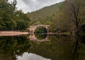 Alvoco das Várzeas lança nova marca e vídeo feito por jovens do concelho