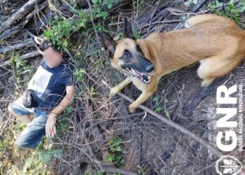 Homem de 62 anos encontrado em Arganil com a ajuda de cão da GNR