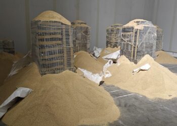 PJ apreende mais de 6,5 toneladas de cocaína que entraram em Portugal por via marítima