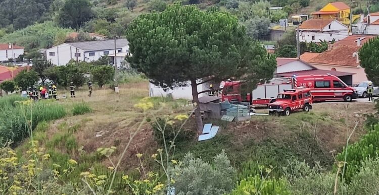 Homem é atingido por pinheiro e acaba por morrer Homem é atingido por pinheiro e acaba por morrer