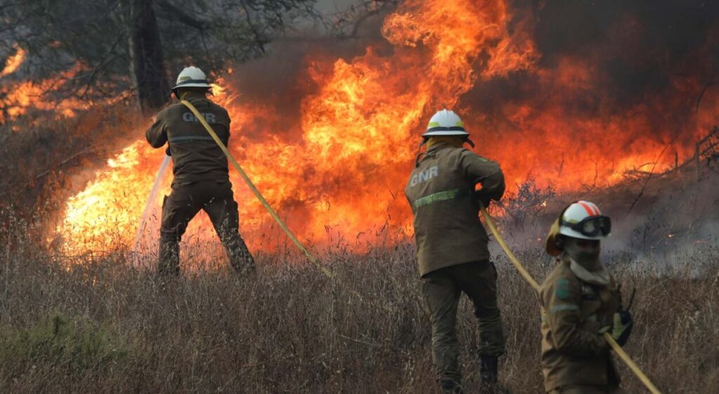 Incêndios florestais