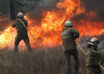 Incêndios florestais