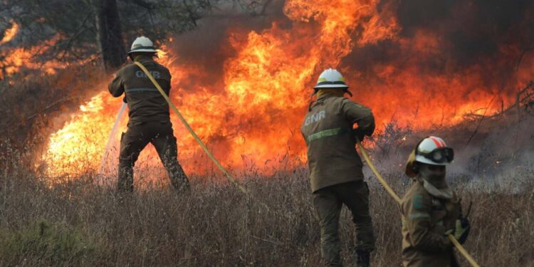 Incêndios florestais