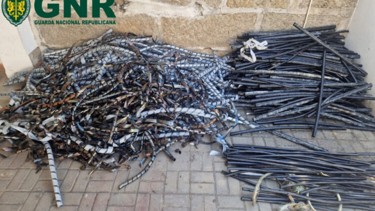 Dupla que roubava metais da linha férrea apanhada em Viseu