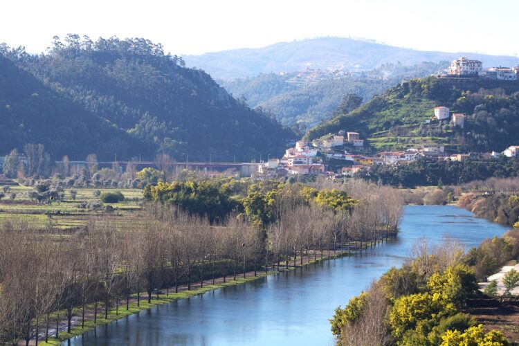 Penacova recebe Campeonato do Mundo de Senhoras de Pesca Desportiva