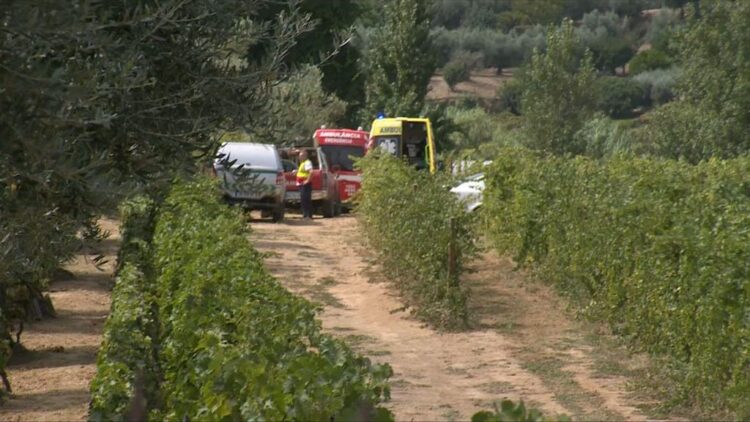 Queda de helicóptero no rio Douro causou dois mortos