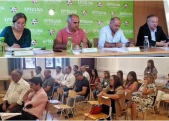 Assembleia Geral reconhece “excelente gestão” da ADEPTOLIVA