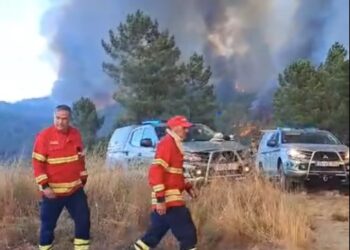 Incêndios lavram no Fundão e em Miranda do Corvo