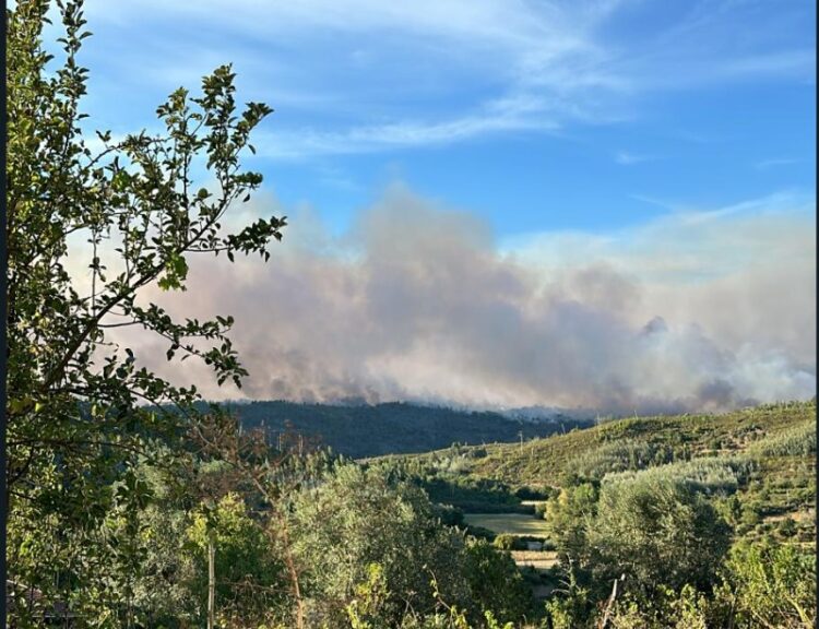 Autarca de Oliveira do Hospital está “muito preocupado” com incêndio em Caldas da Felgueira. Hotel foi evacuado