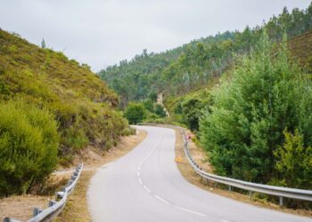 Tábua reforça Faixas de Gestão para prevenir incêndios rurais