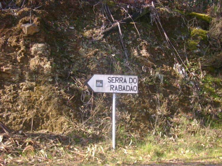 Jovem encontrado morto, com parte de corpo queimado, entre Arganil e Góis