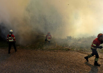 Idosa morre em Mangualde. Número de mortos sobe para quatro