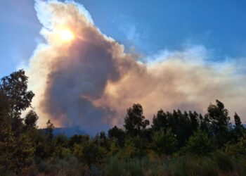 Foram evacuadas oito quintas em Oliveira do Hospital devido ao incêndio