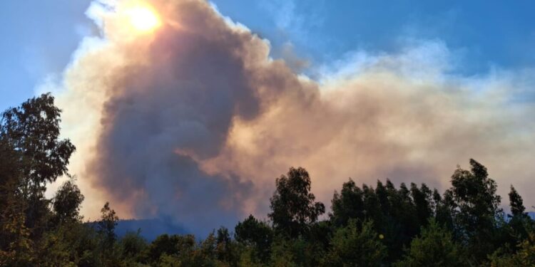 Foram evacuadas oito quintas em Oliveira do Hospital devido ao incêndio