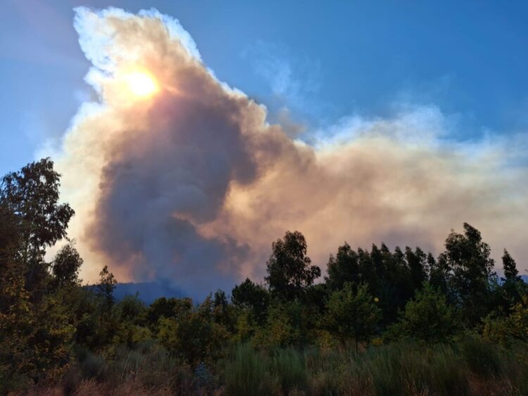 Foram evacuadas oito quintas em Oliveira do Hospital devido ao incêndio