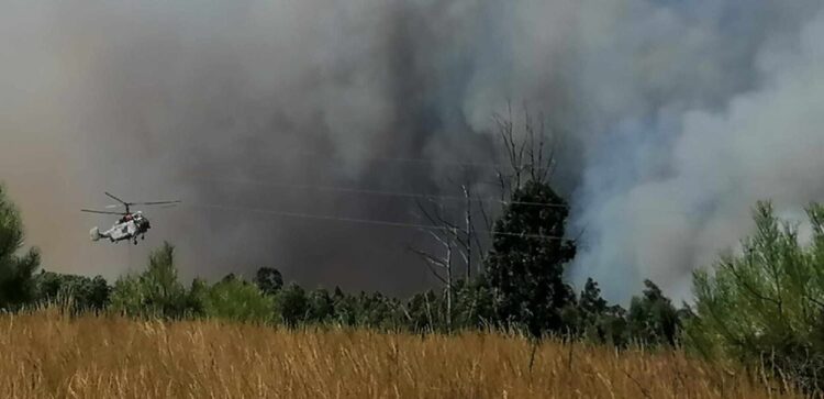 Sónia Melo, Paulo Jorge Santos e Susana Carvalho. Os bombeiros que perderam a vida no combate às chamas em Tábua