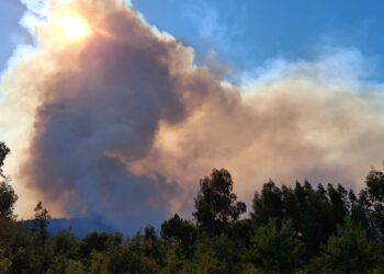 Oliveira do Hospital abrangido por medidas de apoio após incêndios de setembro