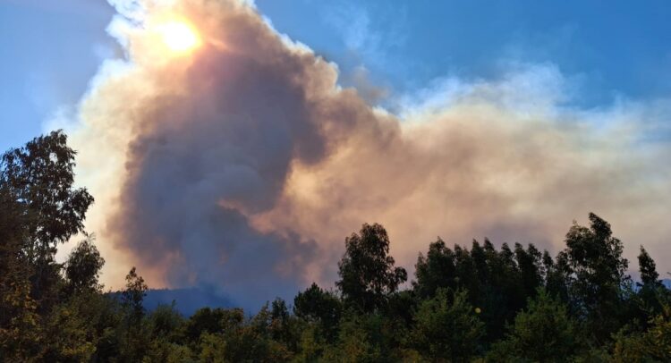 Oliveira do Hospital abrangido por medidas de apoio após incêndios de setembro