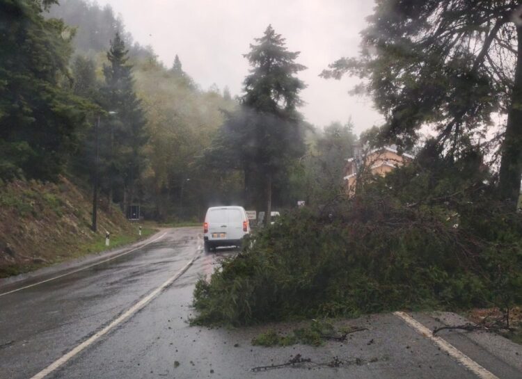 Depressão Kirk deixa rasto de destruição no Norte e Centro do país