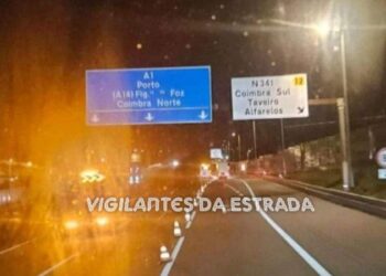 Veículo pesado despistou-se e obrigou ao corte da A1 para sua remoção