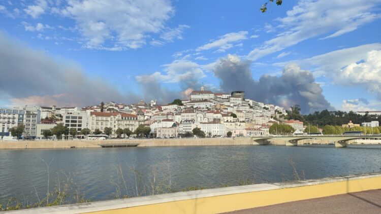 Universidade de Coimbra organiza curso sobre incêndios na interface urbano-florestal