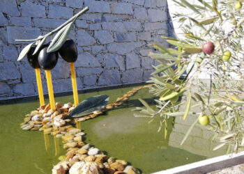 Comemorações do Dia Mundial da Oliveira com ações em Oliveira do Hospital