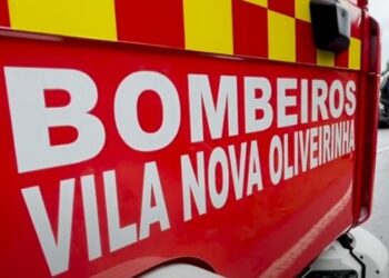 Acidente com javali causou dois feridos em Vila Nova de Oliveirinha