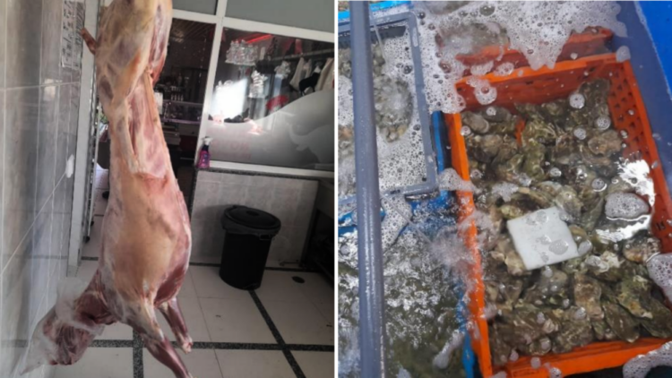 ASAE apreende mais de uma tonelada de alimentos — principais infrações estão relacionadas com higiene