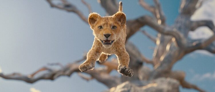 “Mufasa: O Rei Leão” estreia na Casa da Cultura em janeiro: conheça toda a programação de cinema do mês