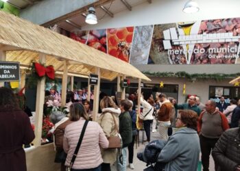 Mercado Municipal acolhe Mercadinho de Natal até 4 de janeiro