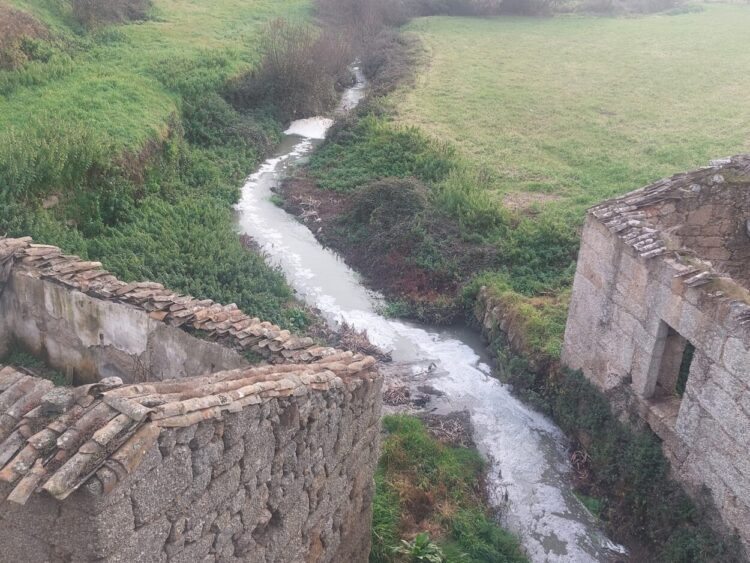 Freguesia de Meruge acusa fábricas de queijo de “descarga criminosa” no Rio Cobral
