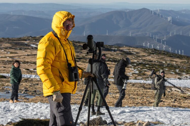 Dois dias para observar aves invernantes na Serra da Estrela