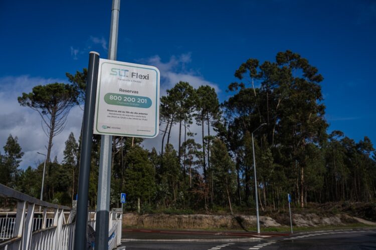 Tábua: Transporte a pedido ultrapassou o meio milhar de reservas em 2024