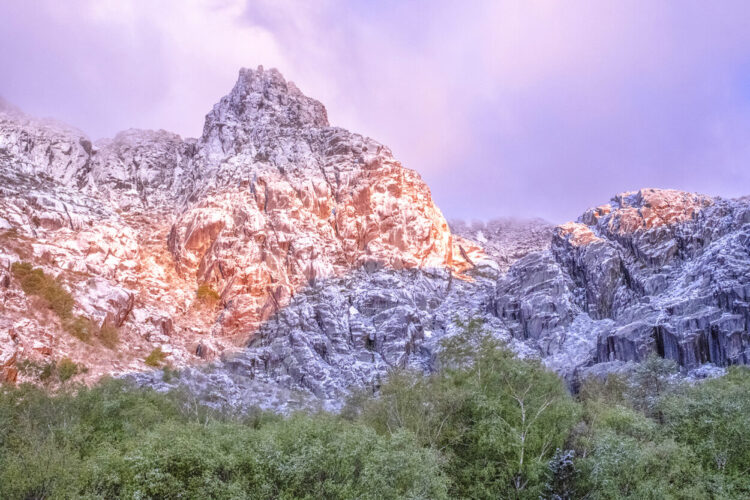 CISE recebe exposição de fotografia de Miguel Serra sobre o Covão da Ametade nas quatro estações